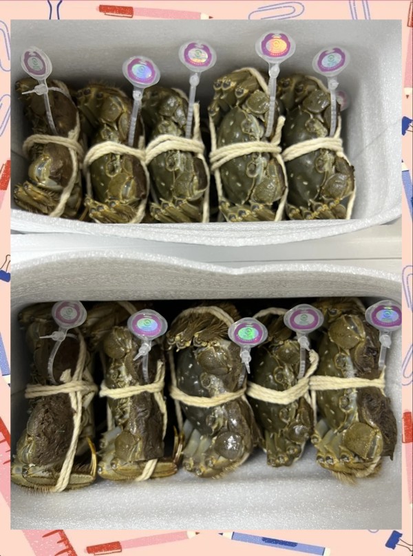 阳澄湖大闸蟹礼卡怎么选 送礼有面子又实惠