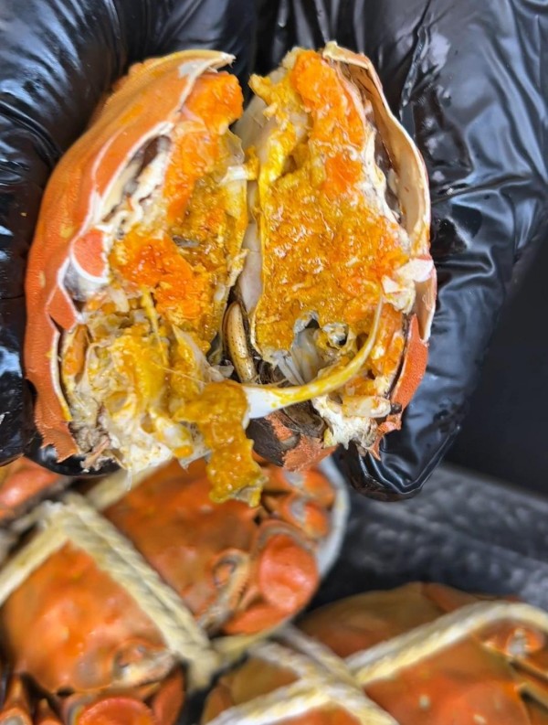 尝鲜阳澄湖大闸蟹，解锁秋日限定美味