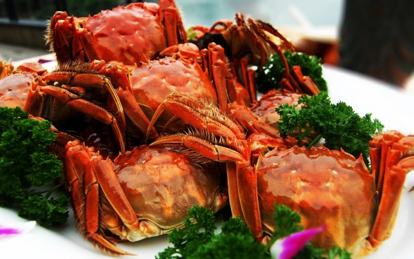 加盟大闸蟹行业，开启财富增长新通道