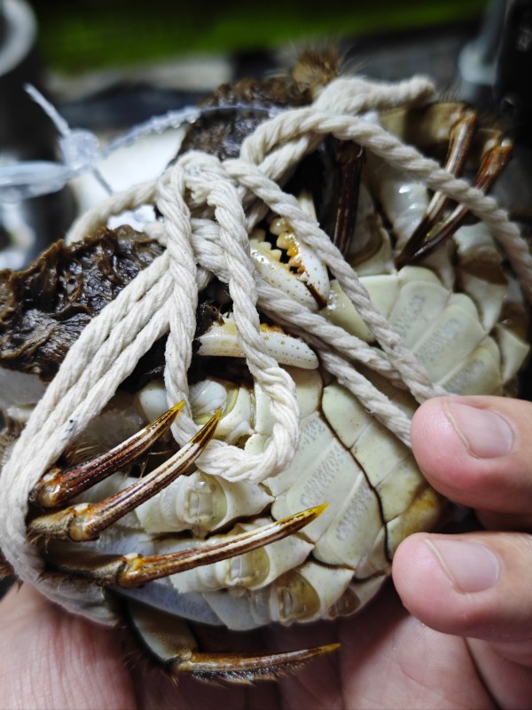 阳澄湖大闸蟹选购指南：辨别真假与最佳品尝时间