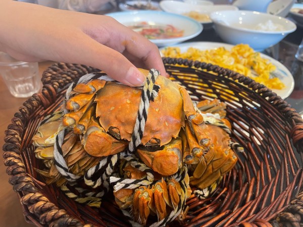 大闸蟹礼盒怎么选不踩坑 阳澄湖真假辨别与价格