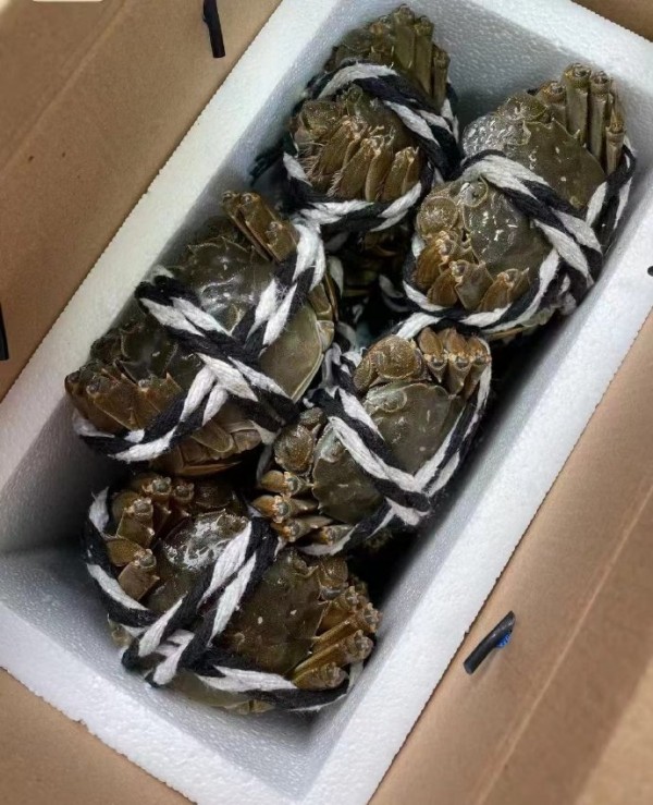 阳澄湖大闸蟹怎么选择 实用指南助你避坑