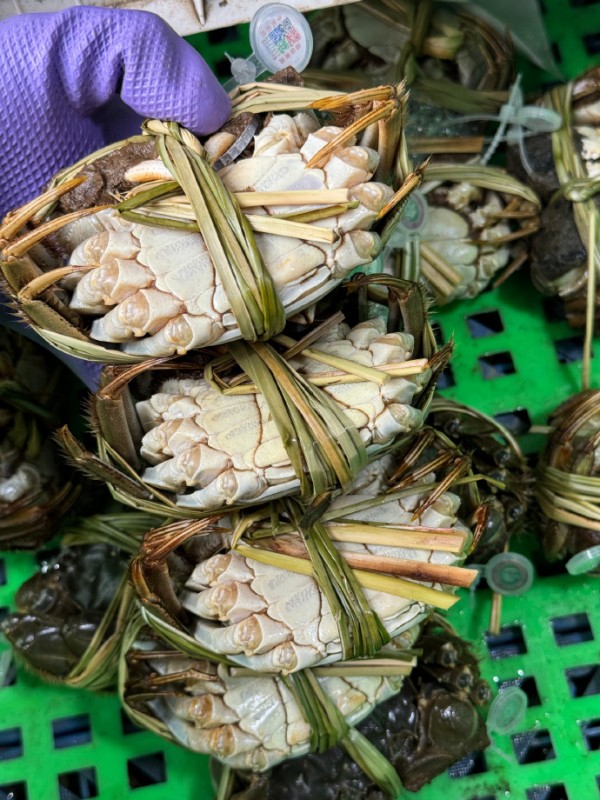阳澄湖大闸蟹加盟选择指南：怎么避开常见坑
