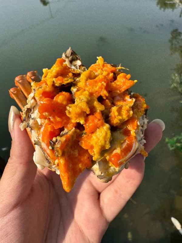 阳澄湖大闸蟹礼盒选择指南-3