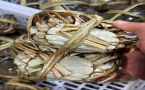 阳澄湖大闸蟹礼盒怎么选择 实用避坑指南