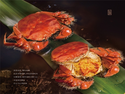 浅谈全国各地大闸蟹美食文化 一场舌尖上的蟹宴